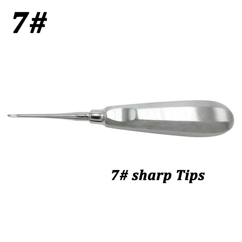 Dental Extraction Tools – Stainless Steel Tooth Elevator for Dentistry